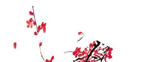 美萊塢醫(yī)美秀色可餐——面部年輕化提升的是輪廓，降低的是年齡
