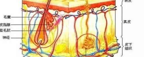 夏天來啦：激光脫毛疼不疼？要做幾次？