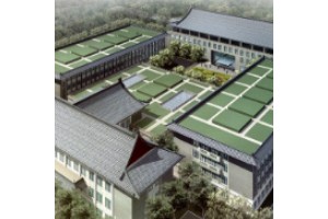 北京整形醫(yī)院排名前三的   吸脂案例展示及價格表